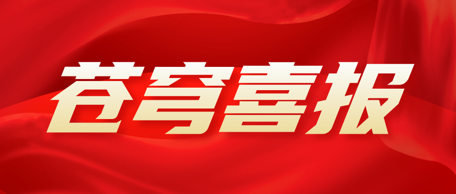 喜報！蒼穹數碼聯(lián)合團隊榮獲2025年“數據要素×”大賽全國總決賽應急管理賽道一等獎